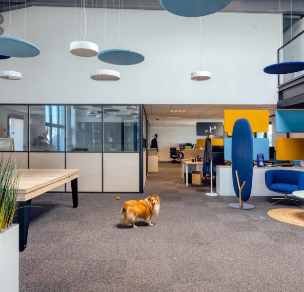 Transformation industrielle en espaces de bureaux modernes !
